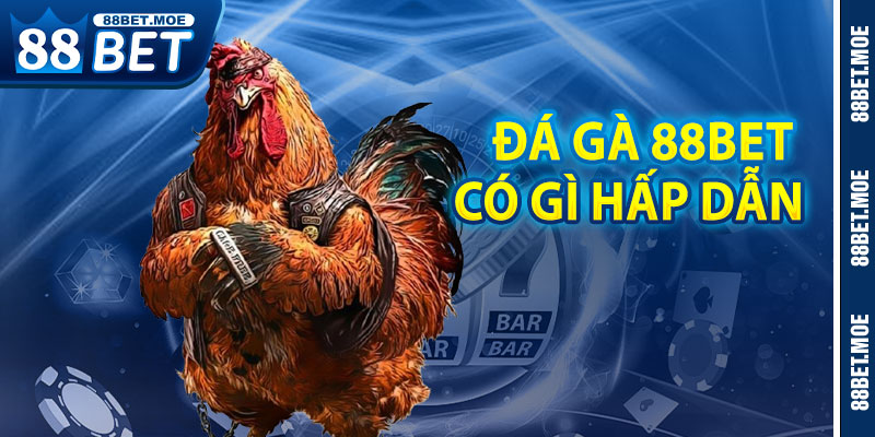Đá Gà 88BET Có Gì Hấp Dẫn Người Chơi?