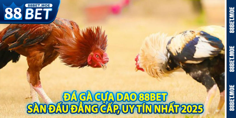 Đá Gà Cựa Dao 88BET – Sàn Đấu Đẳng Cấp, Uy Tín Nhất 2025