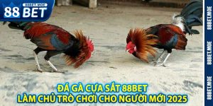 Đá Gà Cựa Sắt 88BET – Làm Chủ Trò Chơi Từ A-Z Cho Người Mới 2025