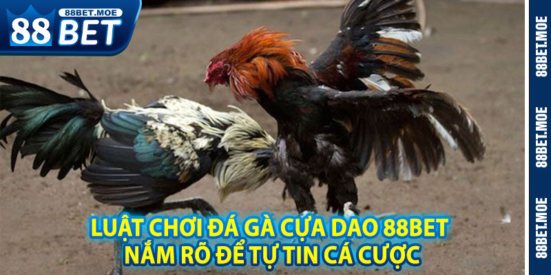 Luật Chơi Đá Gà Cựa Dao 88BET – Nắm Rõ Để Tự Tin Cá Cược