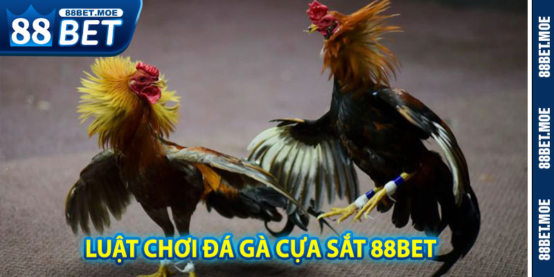 Luật Chơi Đá Gà Cựa Sắt 88BET