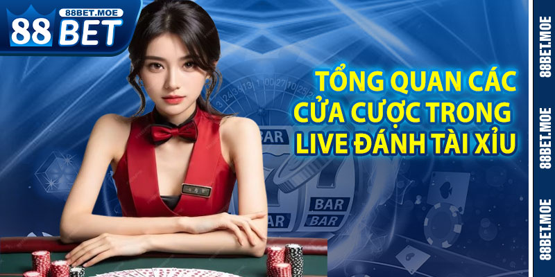 Tổng Quan Các Cửa Cược Trong Live Đánh Tài Xỉu